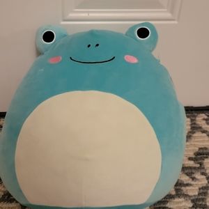 Robert the Frog Squishmallow